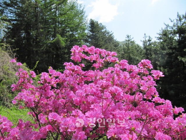 청우산방