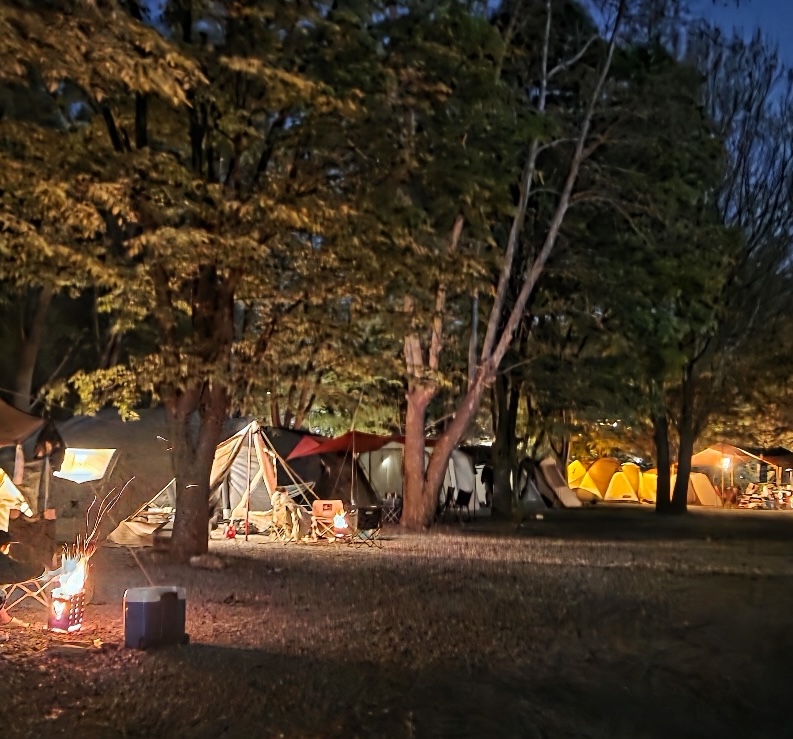 리스캐빈