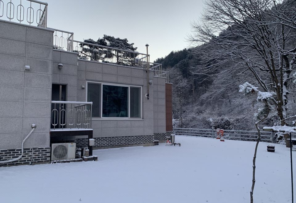 솔가