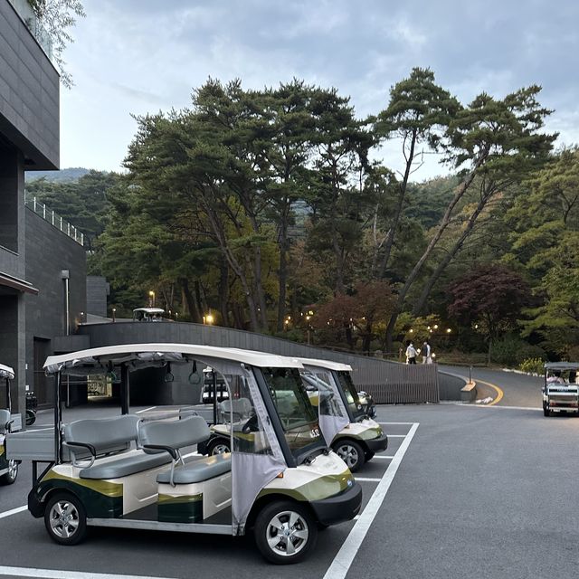 힐링스케치