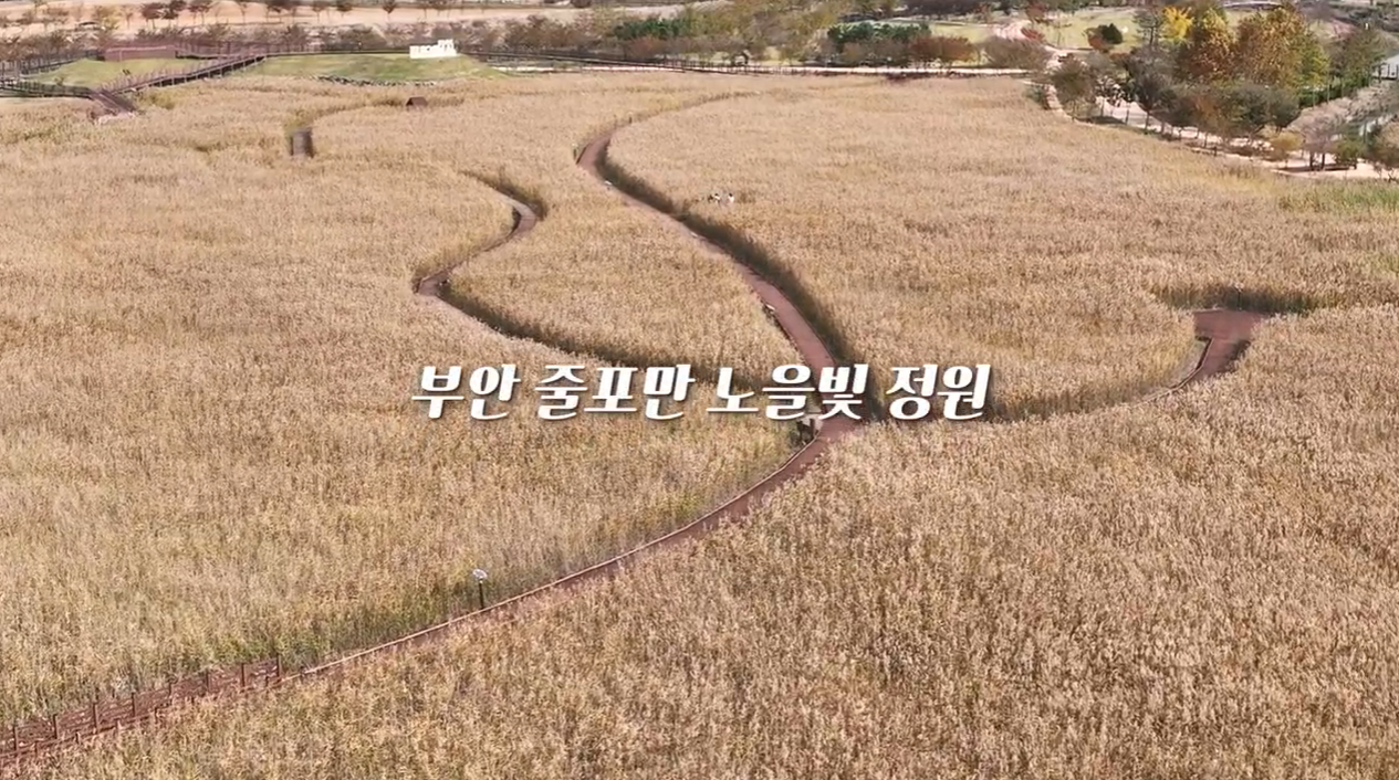 노을빛 정원