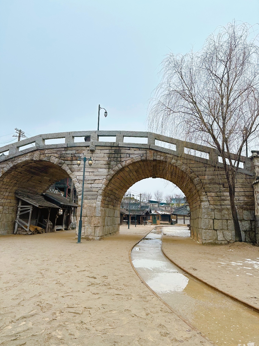 션샤인