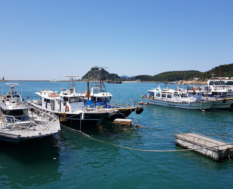 가족민박