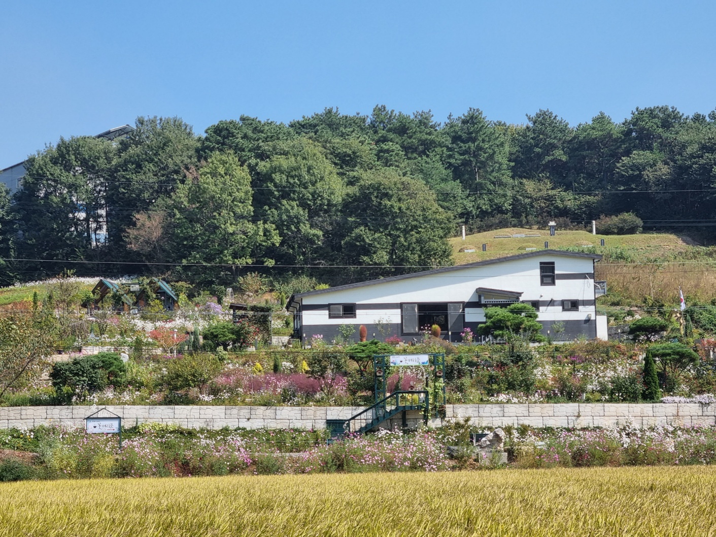당진힐링펜션