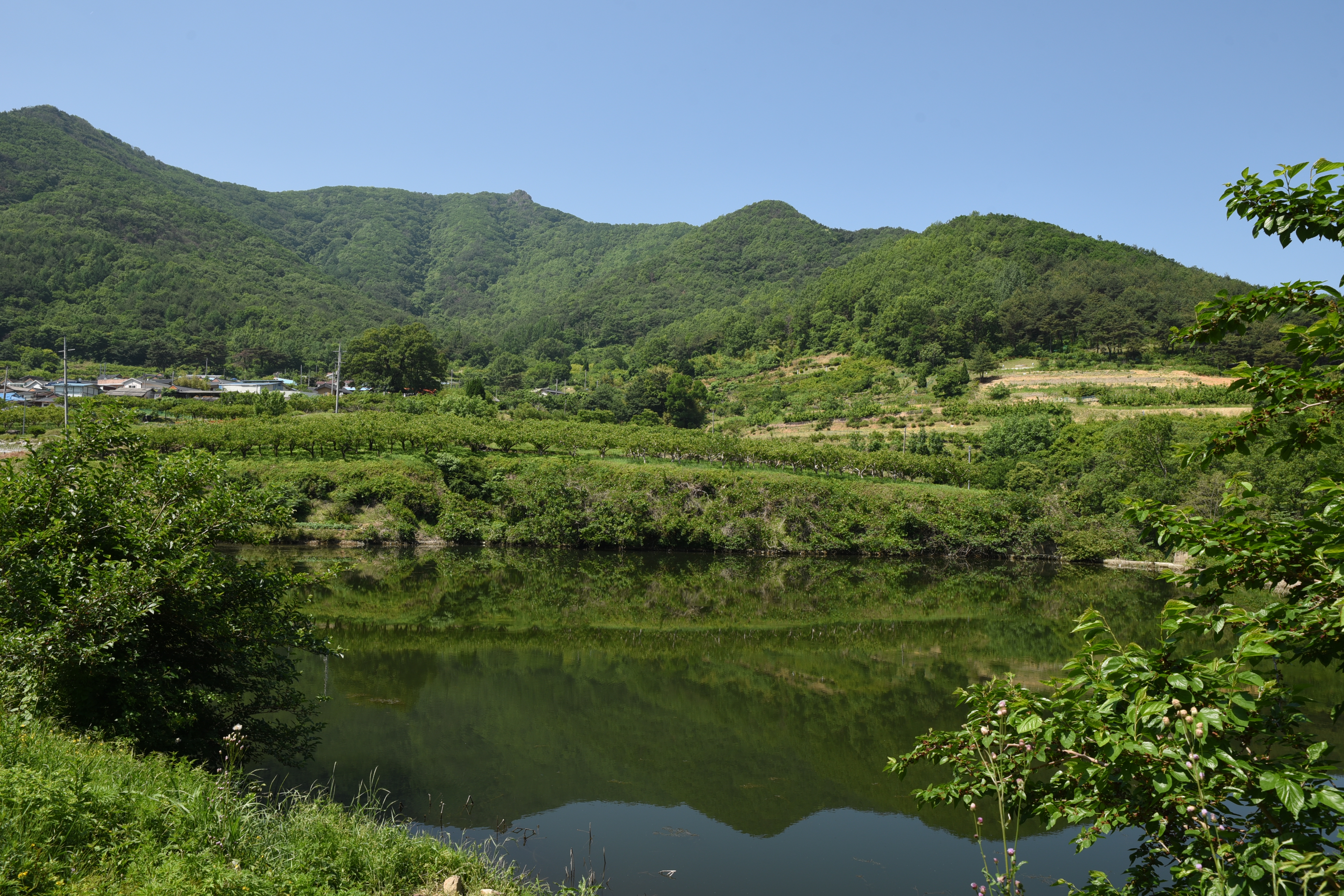 대구민박