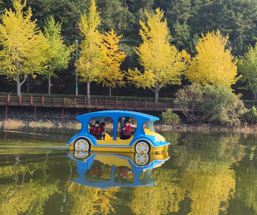 거제비타민씨