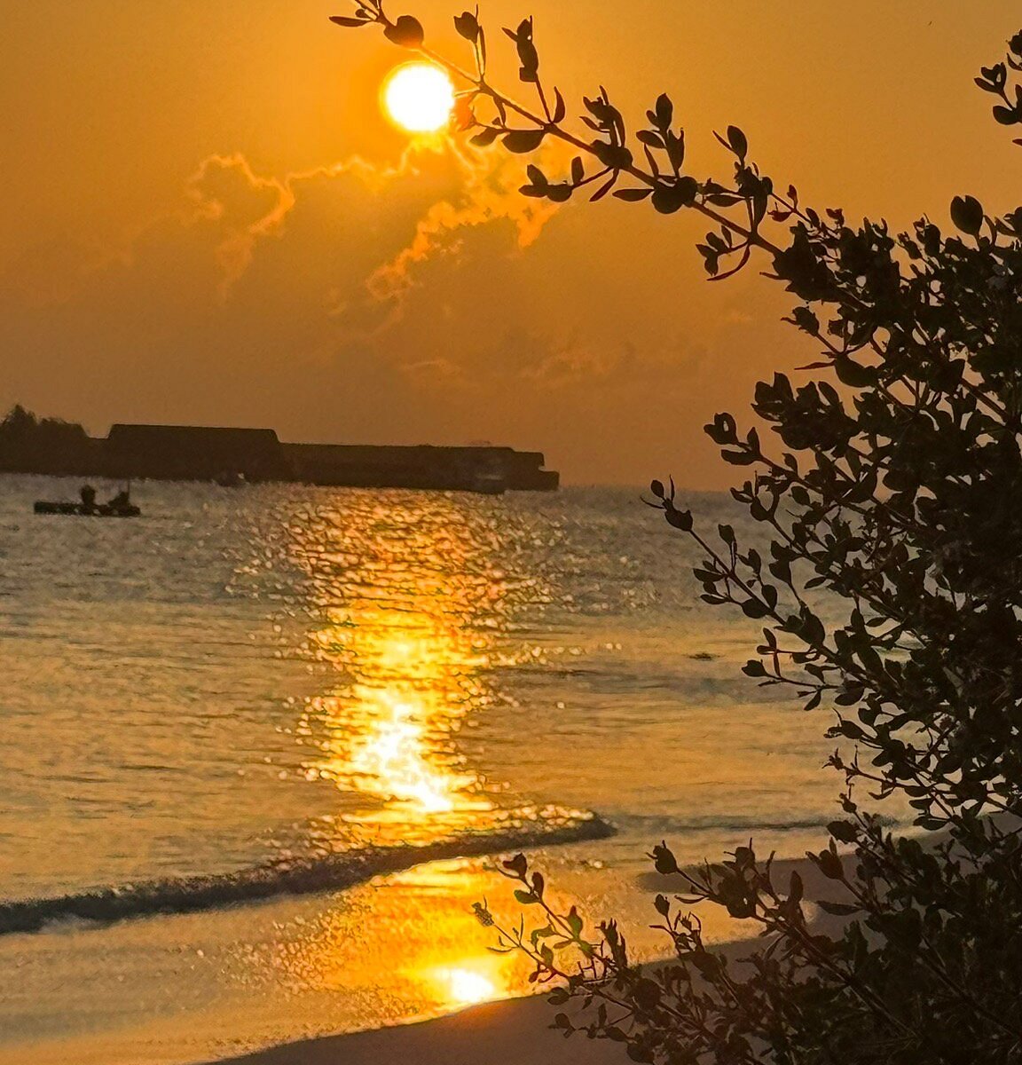 도래
