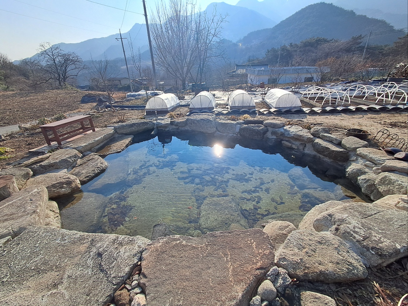산비나