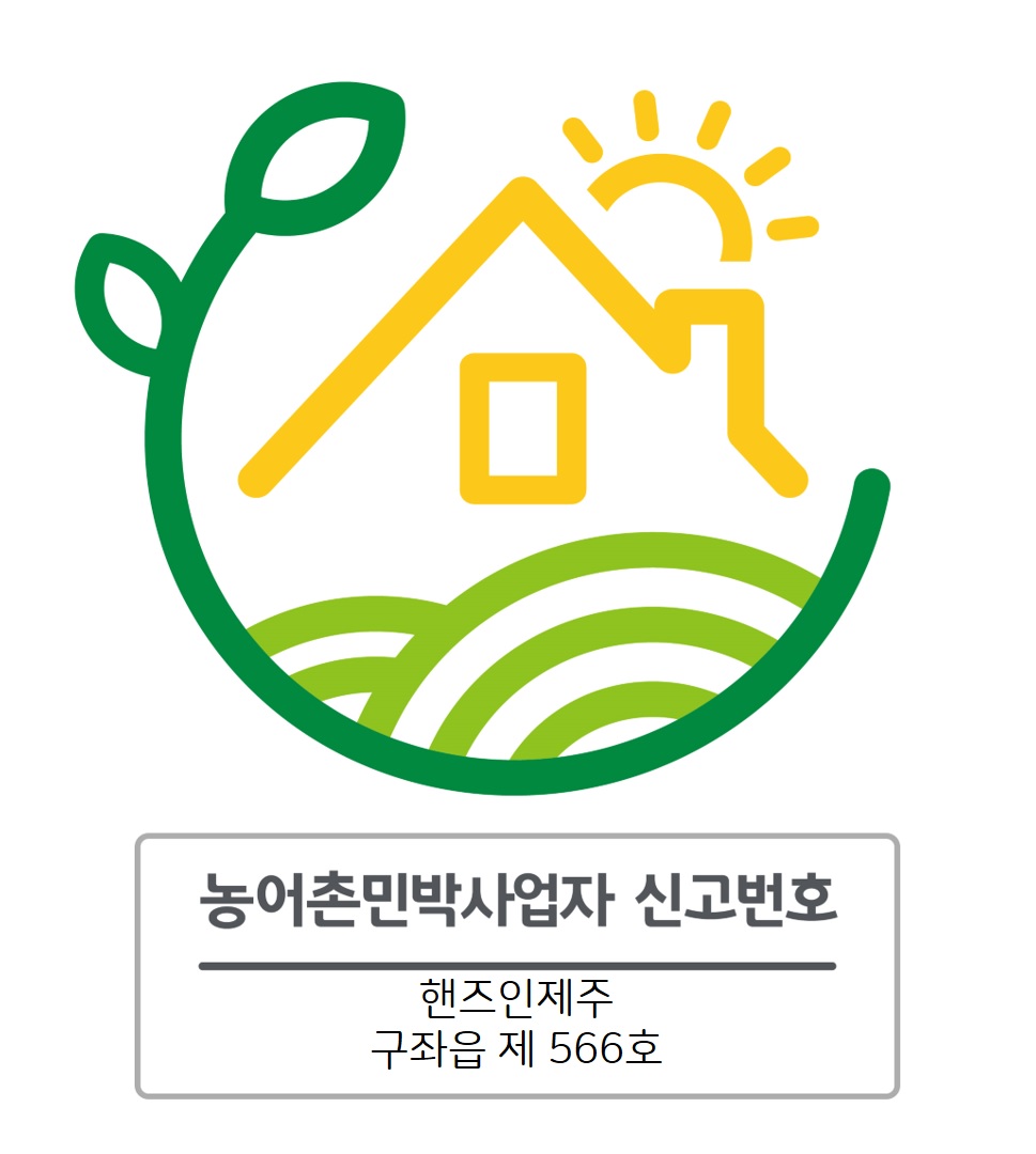 핸즈 인 제주