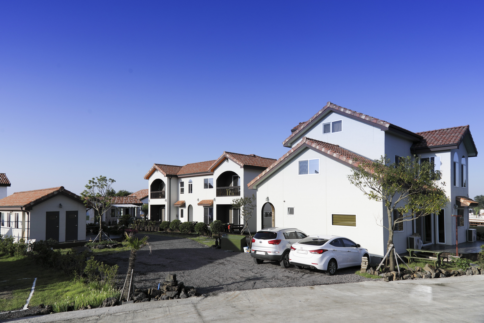 비자림의 아침