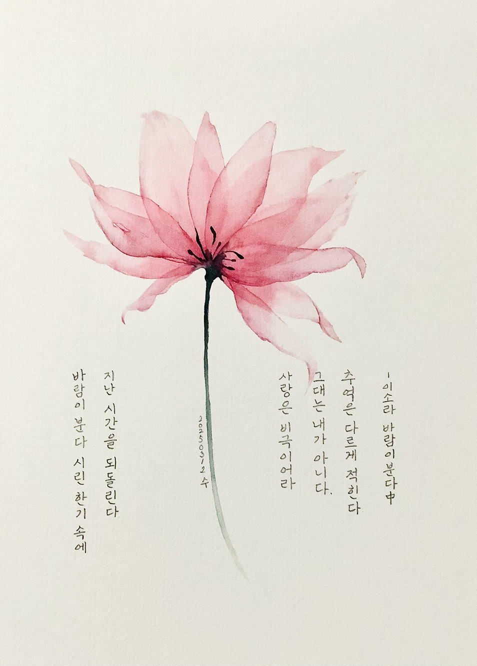 바람이분다
