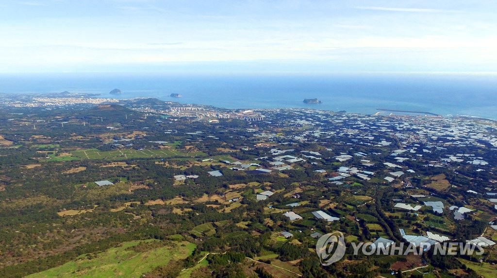 요나고래